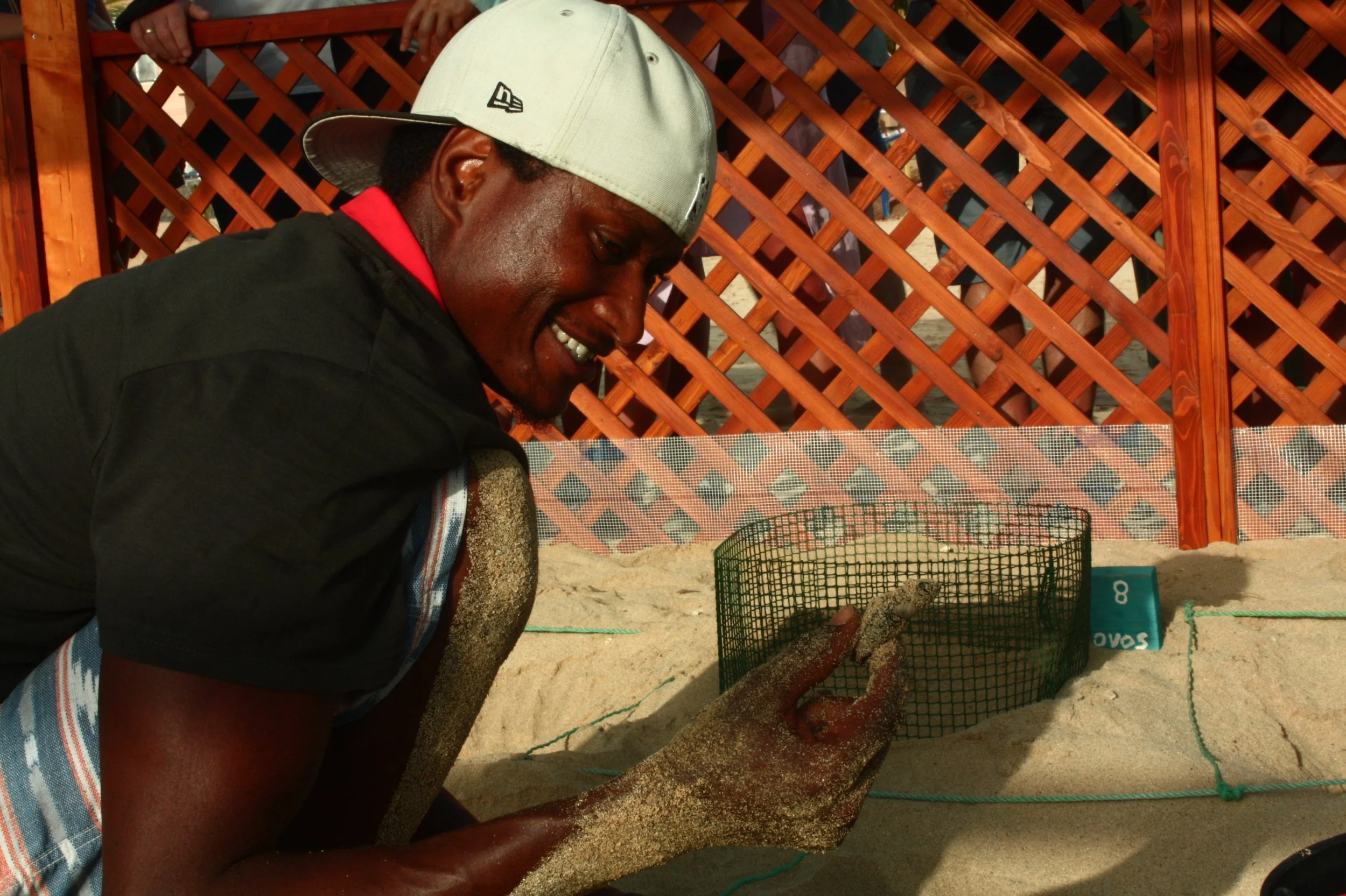 Artur Nest Excavation