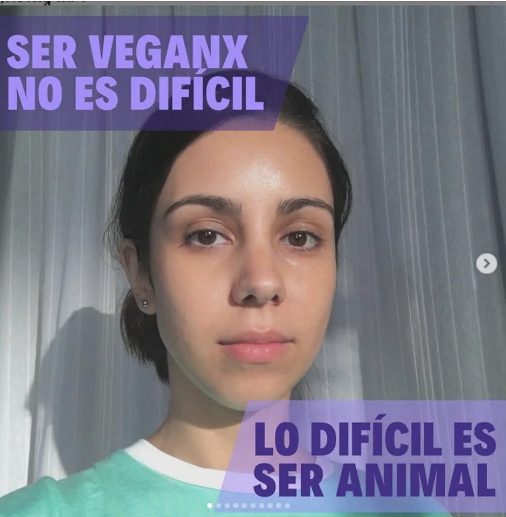 Screenshot 2025 11 06 at 00.09.13