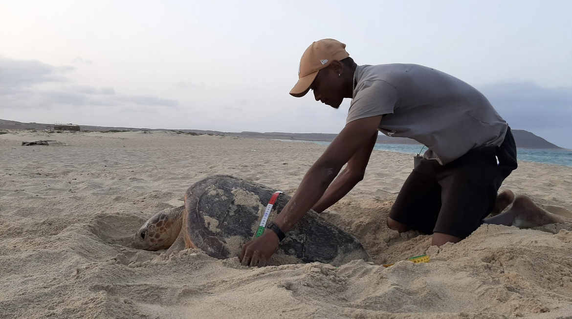 Screenshot 2025 11 16 at 22.25.10